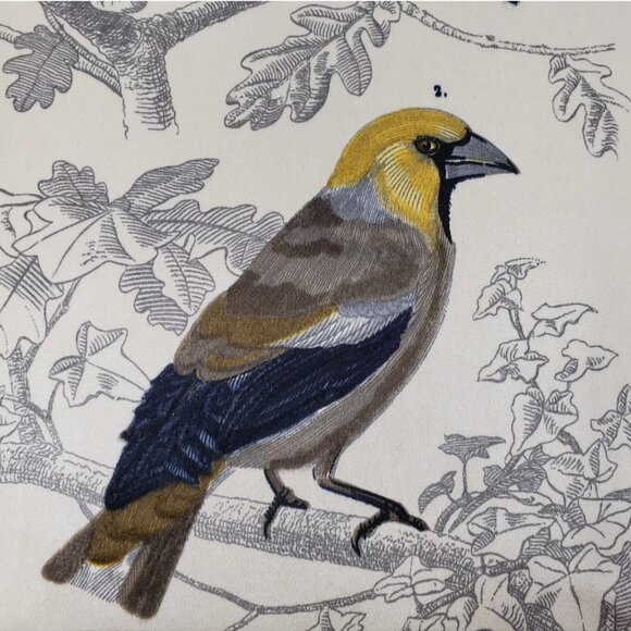 Bianchini Ferier Passereau Lyon Silk Art Bouvreuil & Gros Bec Birds Passereaux - Picture 4 of 9